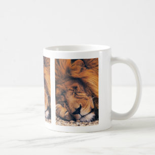 Taza De Café Leones en los regalos salvajes y tés