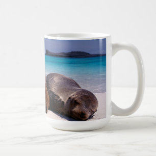 Taza De Café Leones marinos que duermen en la playa el