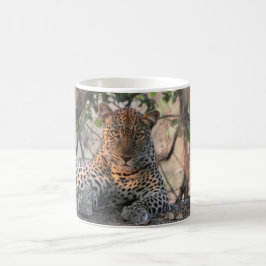 Taza De Café Leopard Mug