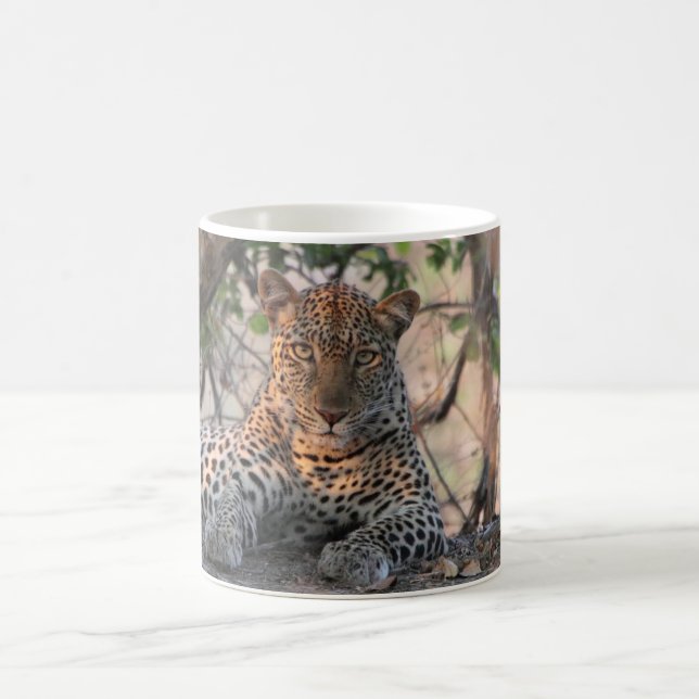 Taza De Café Leopard Mug (Centro)