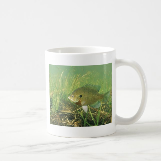 Taza De Café Lepomis macrochirus (Derecha)
