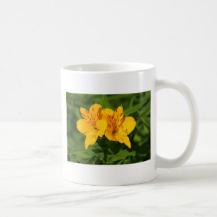 Taza De Café Lilies peruanos