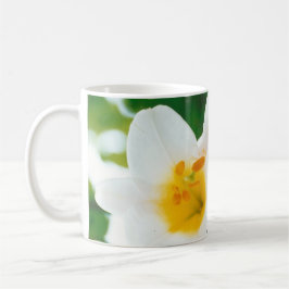 Taza De Café Lilis blancas - Lilium candidum de flores de lirio