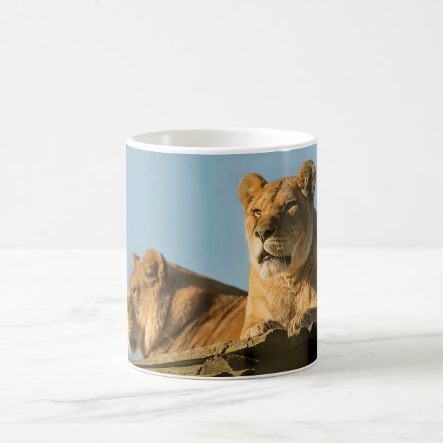 Taza De Café Lioness (Centro)