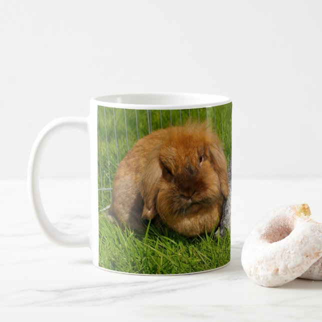 Taza De Café Lionhead Holland Mini Conejo Conejo Conejo Conejo  (Con donut)