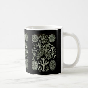 Taza De Café Liquenes