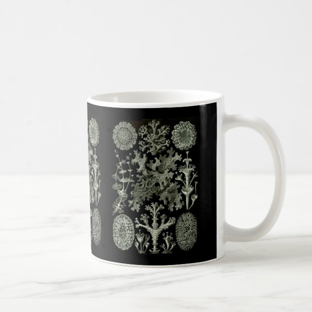 Taza De Café Liquenes (Derecha)