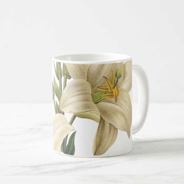 Taza De Café lirio blanco (candidatdum de Lilium) de Redouté (Anverso derecho)