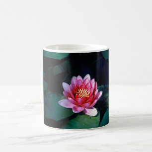 Taza De Café lirio de agua