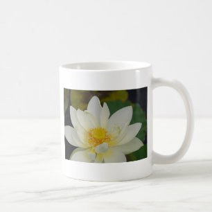 Taza De Café Lirio de agua crema02.JPG