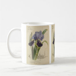 Taza De Café Lirio de jardín por Paul Jerrard