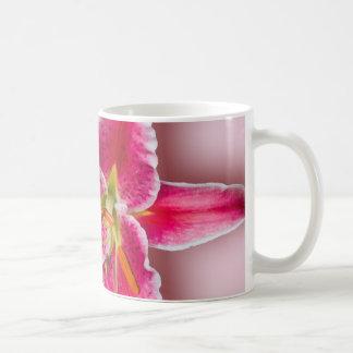 Taza De Café Lirio y brote rosados del Stargazer