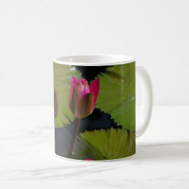 Taza De Café Lirios de agua rosados