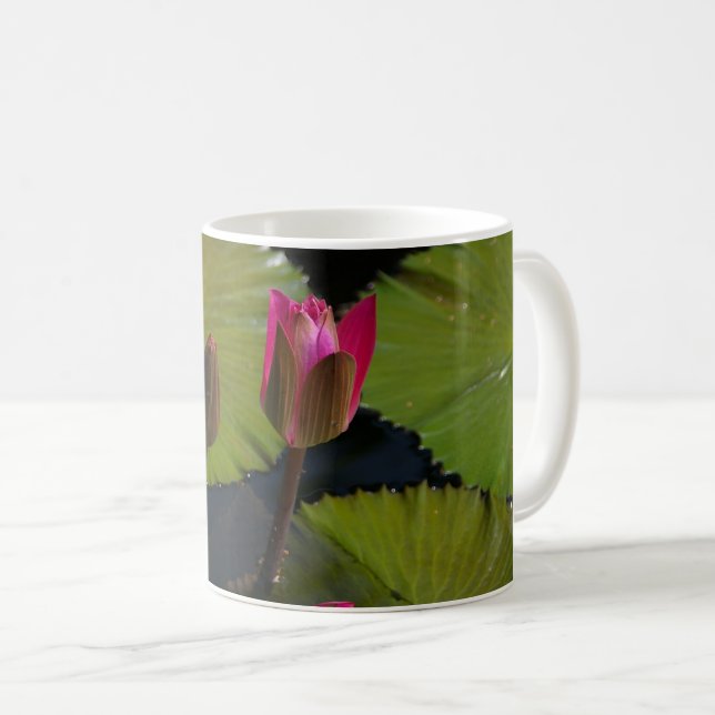 Taza De Café Lirios de agua rosados (Anverso derecho)
