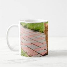 Taza De Café Little cute orange cat