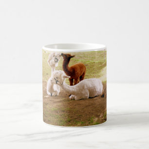 Taza De Café Llamas con Baby Cria