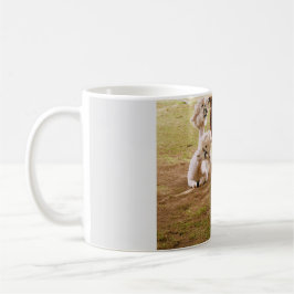 Taza De Café Llamas con Baby Cria