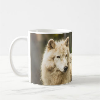 Taza De Café Lobo Ártico húmedo en foto de primavera