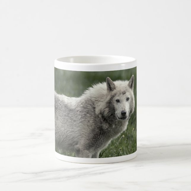 Taza De Café Lobo de la madera (Centro)
