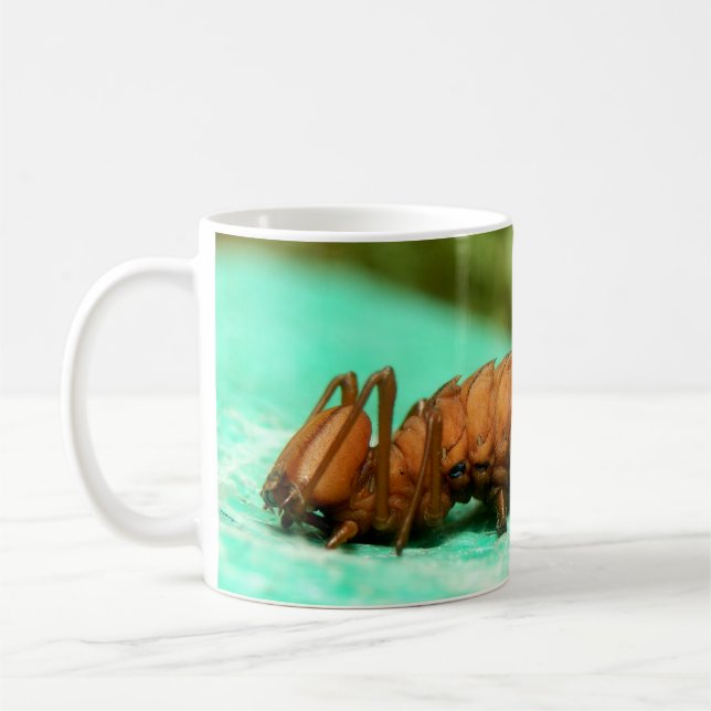 Taza De Café Lobster Moth Caterpillar Bug Mug (Izquierda)