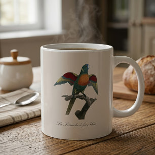 Taza De Café Lori de flores, Trichoglossus haematodus