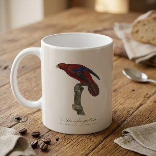 Taza De Café Lori rojo de cola larga, Trichoglossus borneus