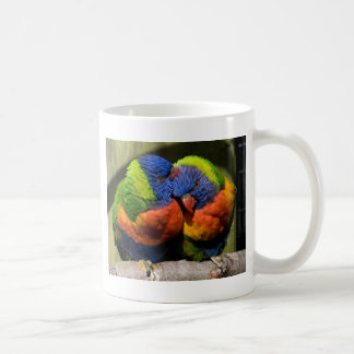 Taza De Café Lorikeets en amor