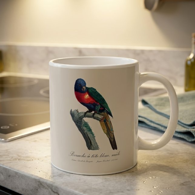 Taza De Café Loriquito Arcoíris Macho, Trichoglossus Moluccanus (Rainbow Lorikeet Male, Trichoglossus Moluccanus. Coffee Mug)