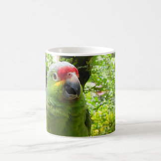 Taza De Café Loro