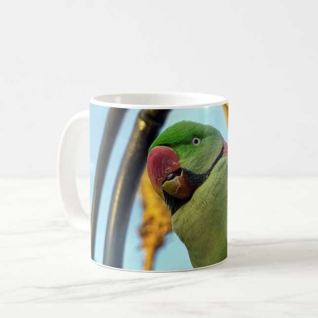 Taza De Café Loro (Anverso izquierdo)