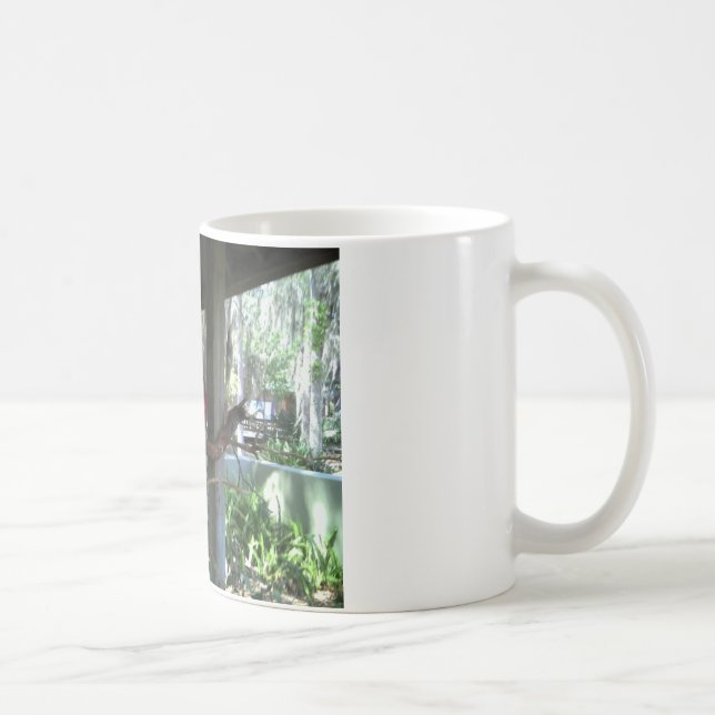 Taza De Café Loro (Derecha)