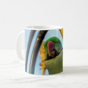 Taza De Café Loro