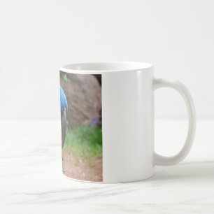 Taza De Café loro blauaras
