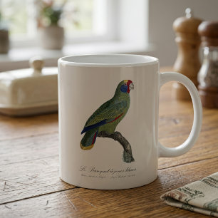 Taza De Café Loro de Cola Roja Amazona, Amazona Brasiliensis