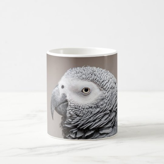 Taza De Café Loro del gris del gris africano de Congo de la