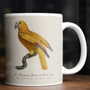 Taza De Café Loro del Paraíso de Cuba, Psittacus Paradisi