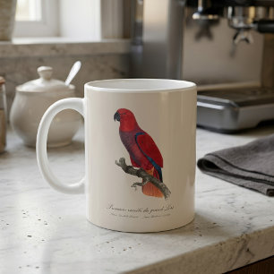Taza De Café Loro Eclecto de Vosmaer, Eclectus Roratus Vosmaeri