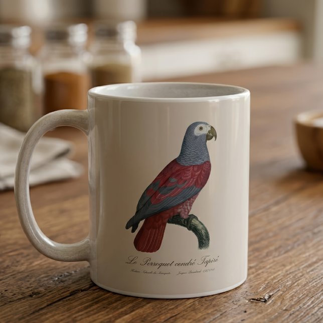 Taza De Café Loro Gris Africano Factor Rojo Psittacus Erithacus (African Grey Parrot Red Factor Psittacus Erithacus. Coffee Mug )