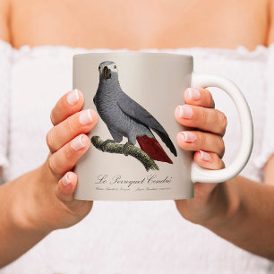 Taza De Café Loro gris africano, Psittacus erithacus, vintage