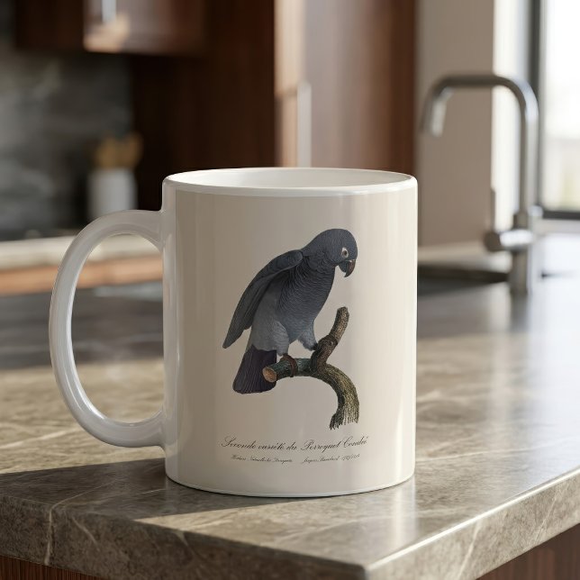 Taza De Café Loro Gris Africano Timneh, Psittacus Timneh (Timneh African Grey Parrot, Psittacus Timneh. Coffee Mug)