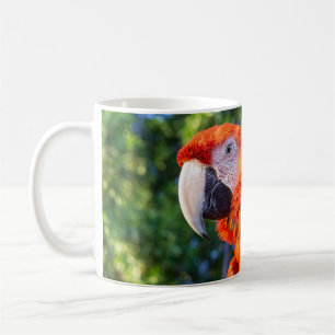 Taza De Café Loro Guacamayo