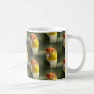 Taza De Café Loro hinchado blanco lindo del caique