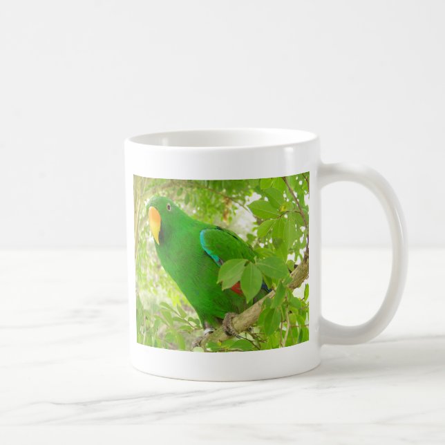 Taza De Café Loro masculino de Eclectus (Derecha)