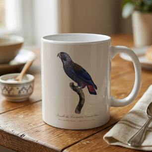 Taza De Café Loro obscuro o Pionus obscuro, Pionus fuscus