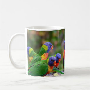 Taza De Café Loros Loros Llorones Arcoíris Coloridos Comiendo