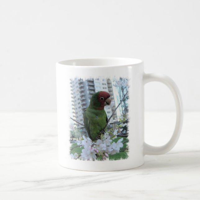 Taza De Café loros salvajes de Telegraph Hill (Derecha)