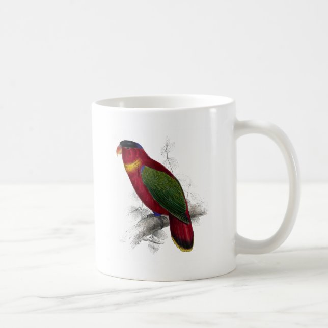 Taza De Café Lory Negro-Capsulado de Edward Lear (Derecha)