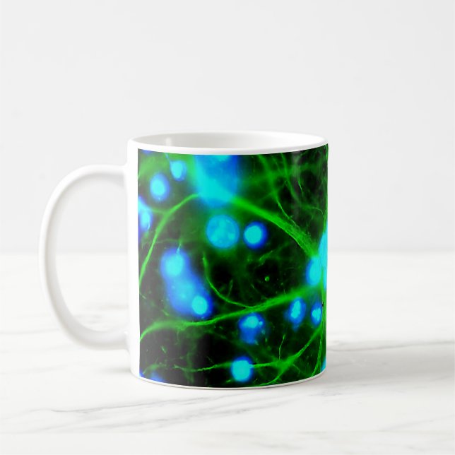 Taza De Café Los astrocitos son células glicales en forma de es (Izquierda)