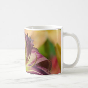 Taza De Café Los colores de Starman - Daylily