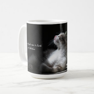 Taza De Café Los gatos son la mugre de gatos de los ángeles